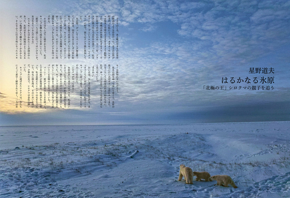 Coyote No.89 星野道夫 夢見た旅