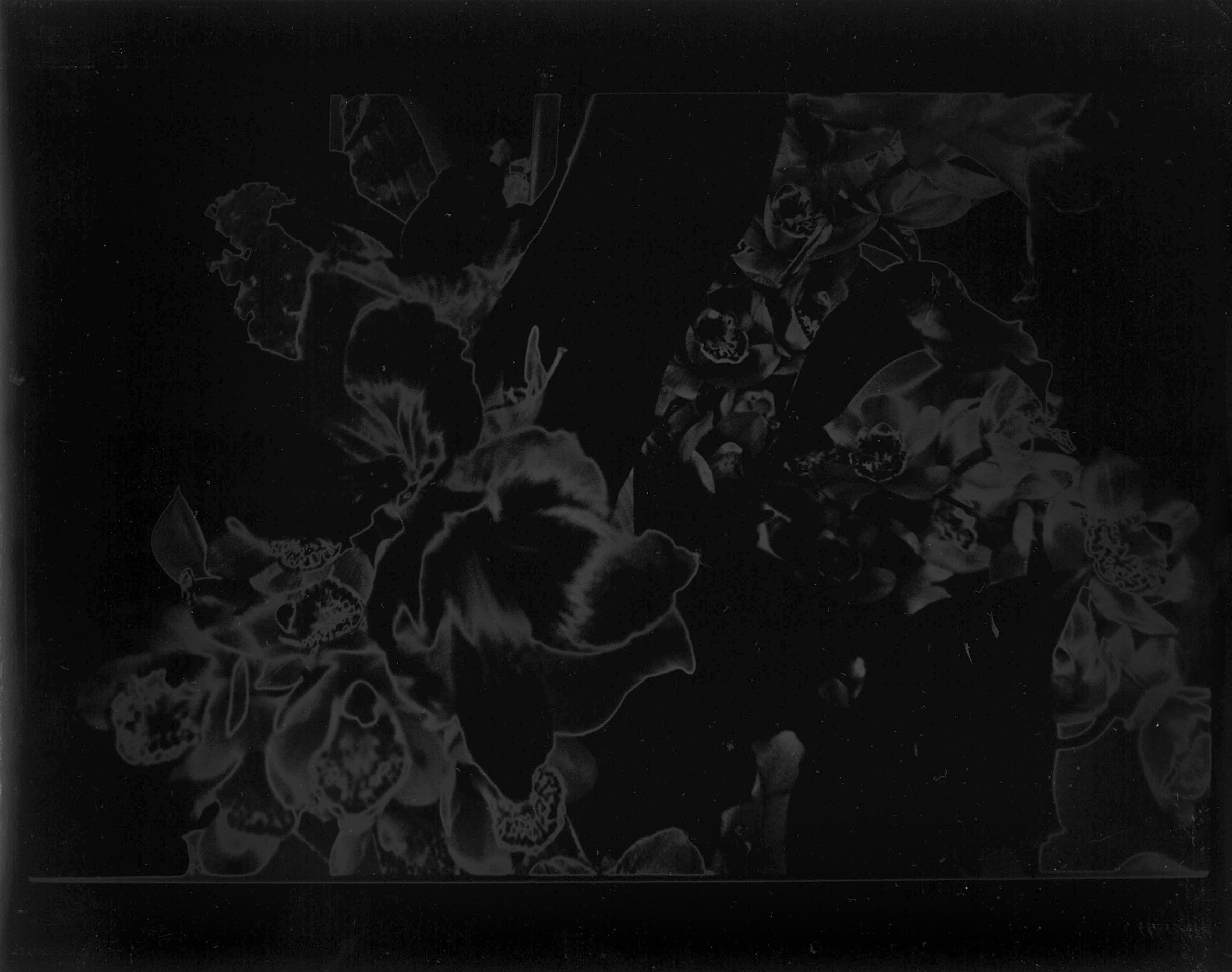 黒闇 / Kuroyami 野村佐紀子 サイン入り - 古本買取販売